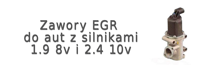 egr - silniki 1.9 8v i 2.4 10v